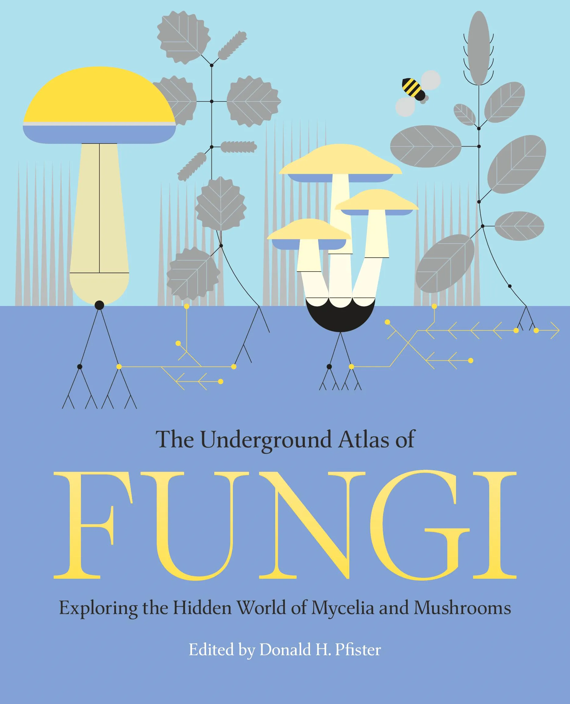 The Underground Atlas of Fungi | Princeton University Press