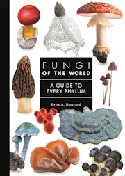 Fungi of the World