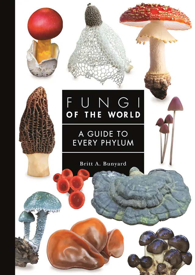 Fungi of the World