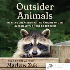 Outsider Animals