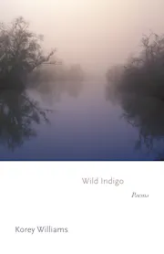 Wild Indigo