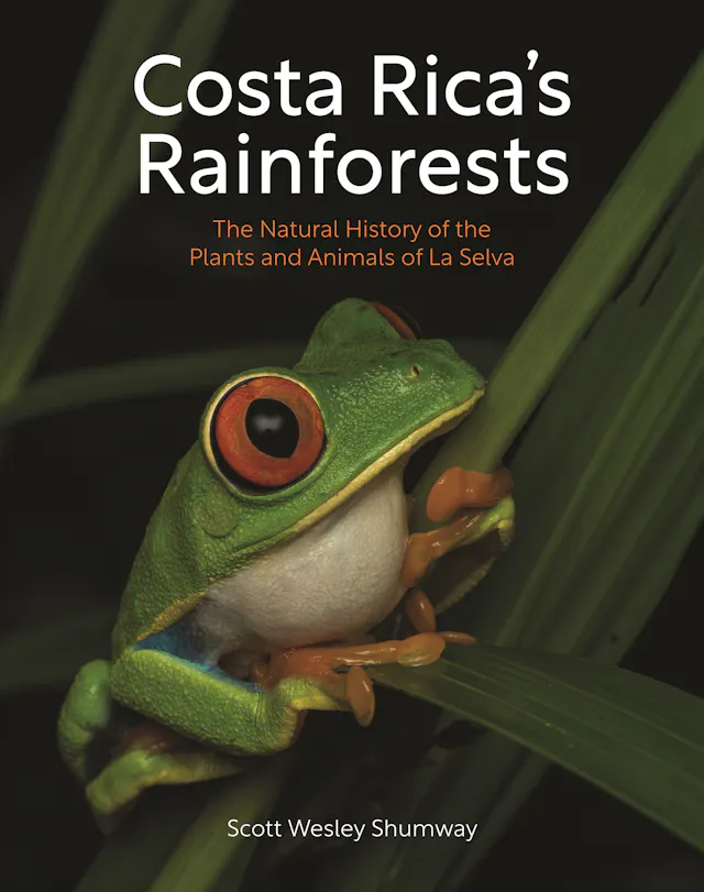 Costa Rica's Rainforests