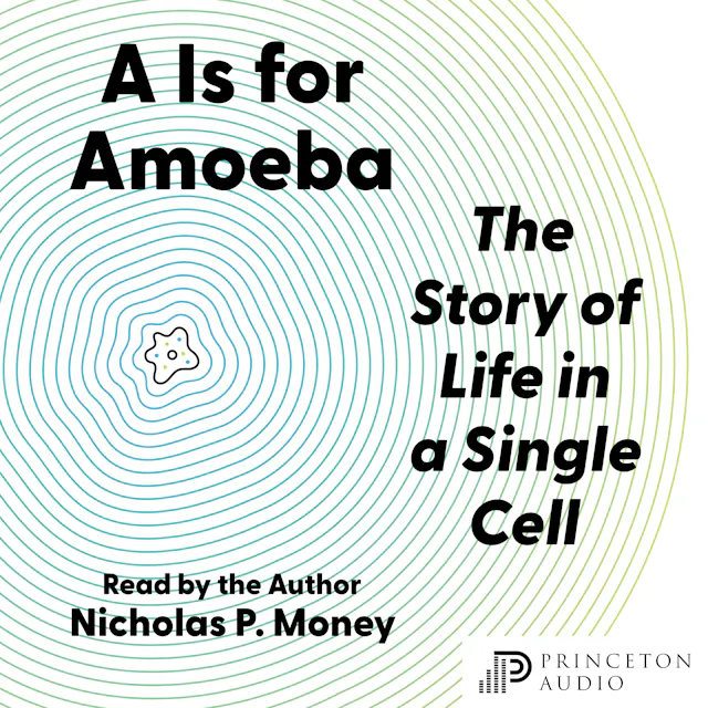 A Is for Amoeba