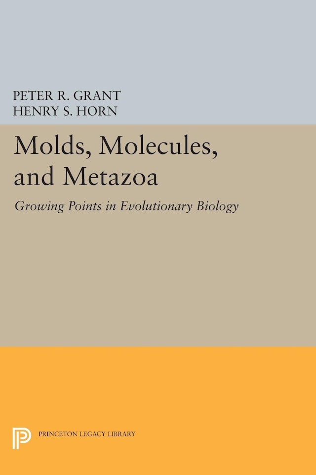 Molds, Molecules, and Metazoa