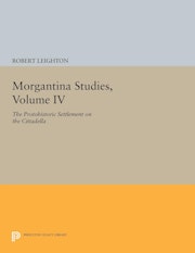 Morgantina Studies, Volume IV
