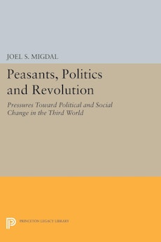 Peasants, Politics and Revolution