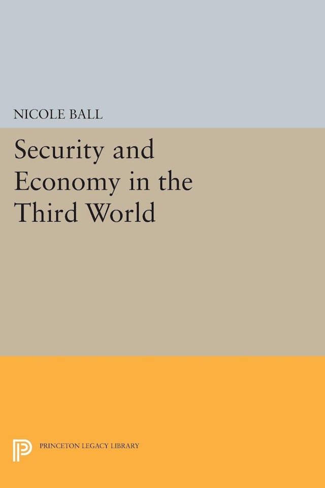 Security and Economy in the Third World