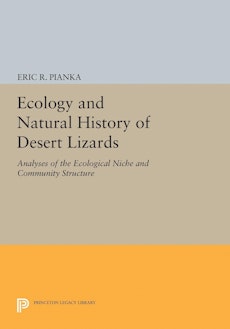 Ecology and Natural History of Desert Lizards