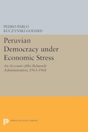Peruvian Democracy under Economic Stress