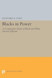 Blacks in Power