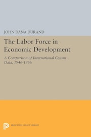 The Labor Force in Economic Development
