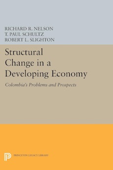 Structural Change in a Developing Economy
