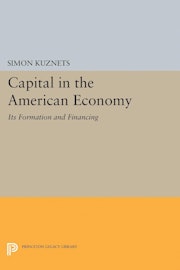 Capital in the American Economy