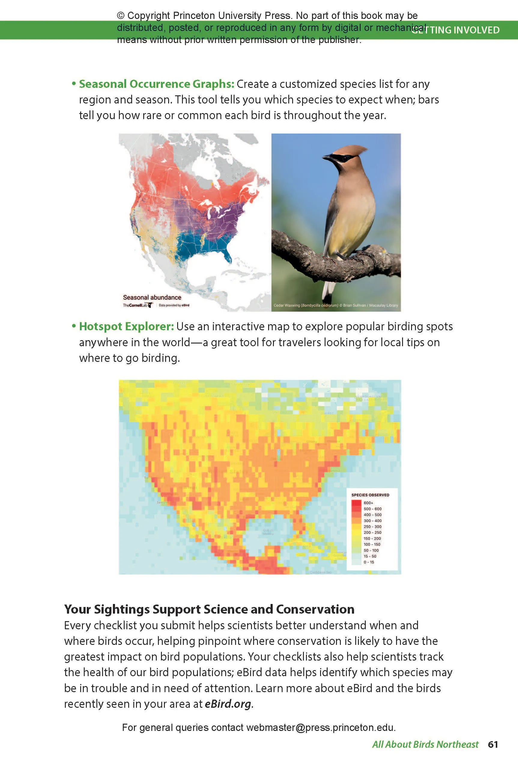 All About Birds Northeast | Princeton University Press