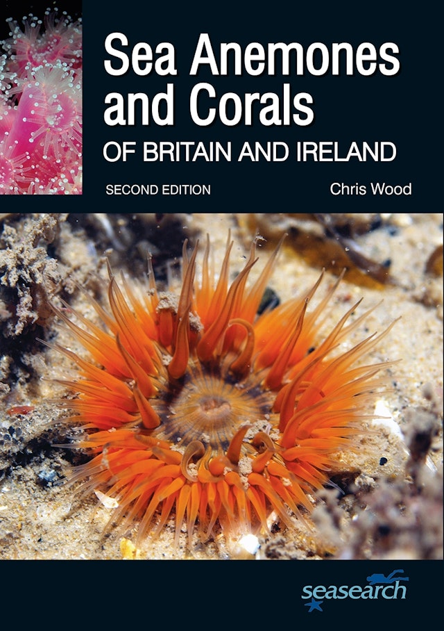Sea Anemones and Corals of Britain and Ireland