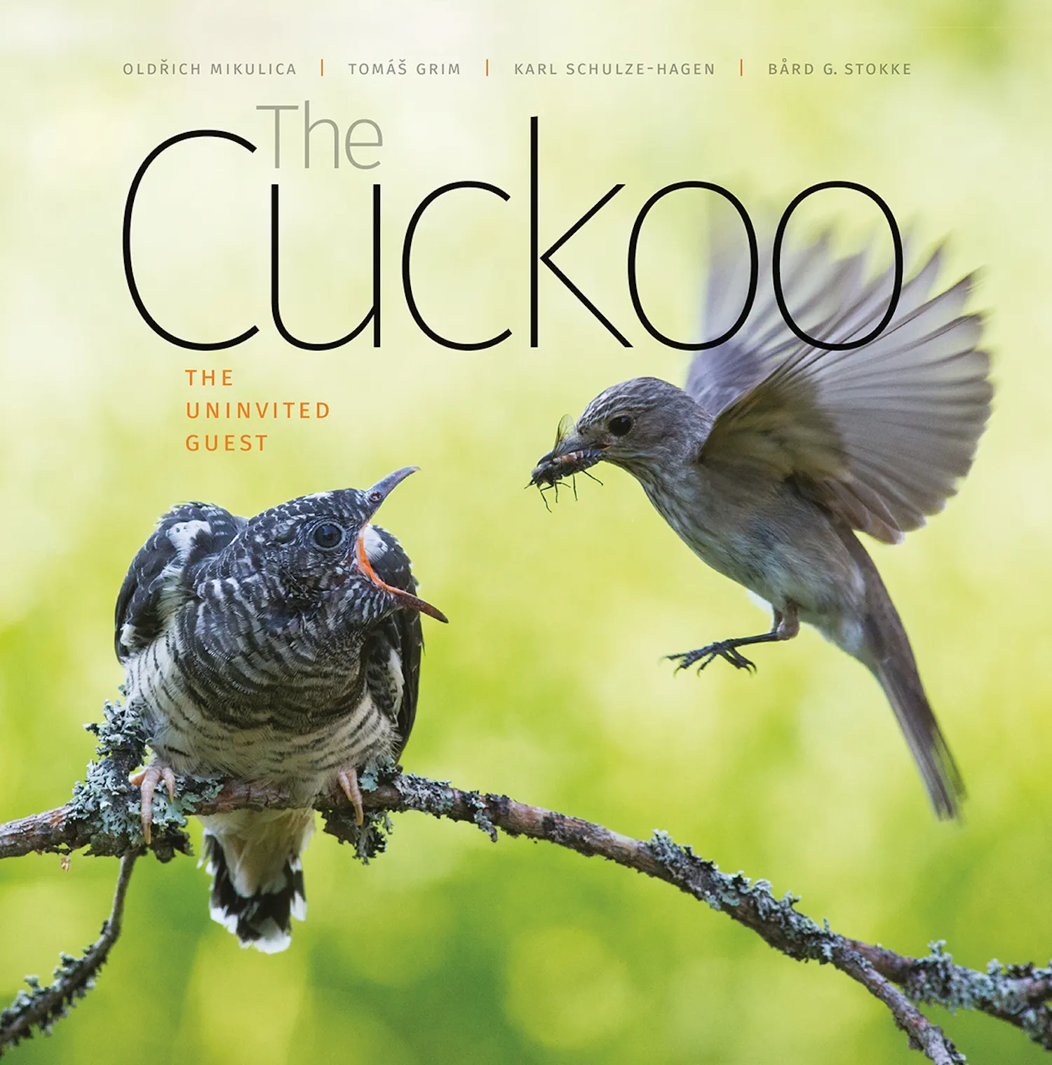 Cuckoo crp r0655fb инструкция. Cuckoo crp-m1060sr. Movie credits 17 ocean cuckoo. Cuckoo перевод. Cuckoo перевод.