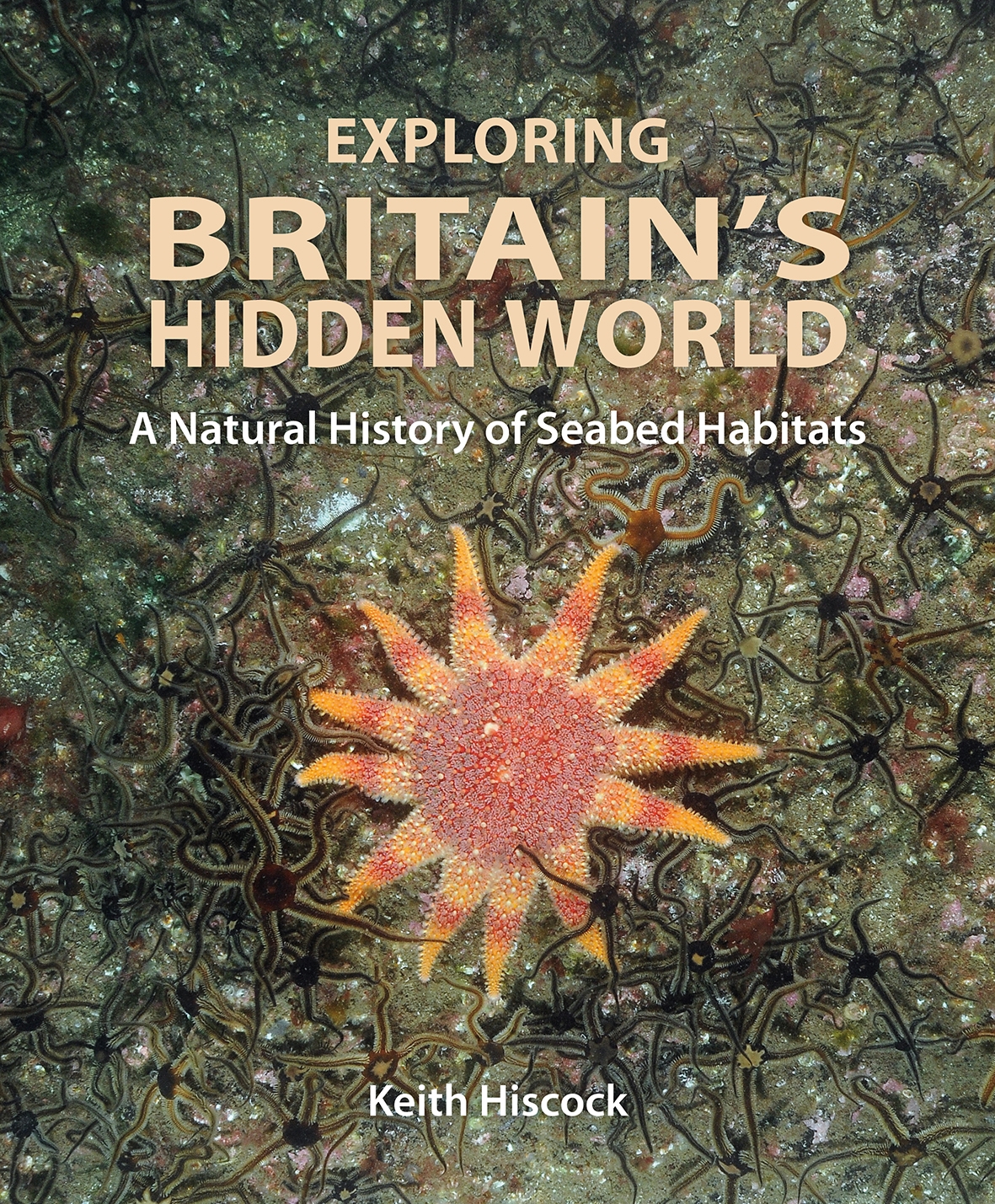 Exploring Britain's Hidden World | Princeton University Press
