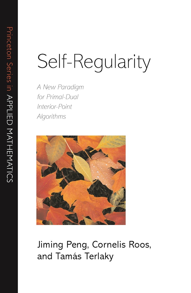 Self-Regularity