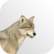 Mammals of North America (App)