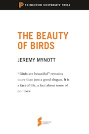 The Beauty of Birds