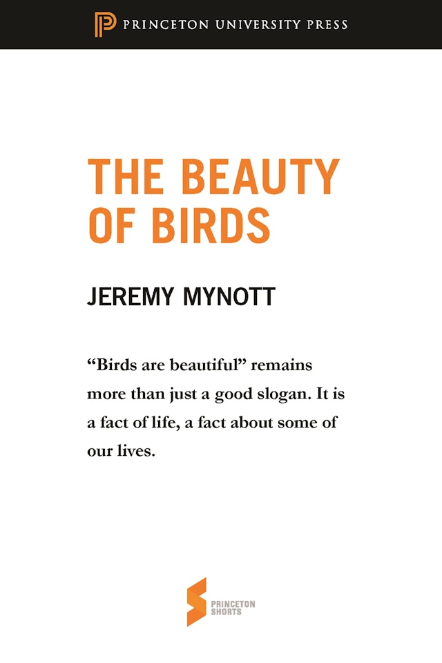 The Beauty of Birds