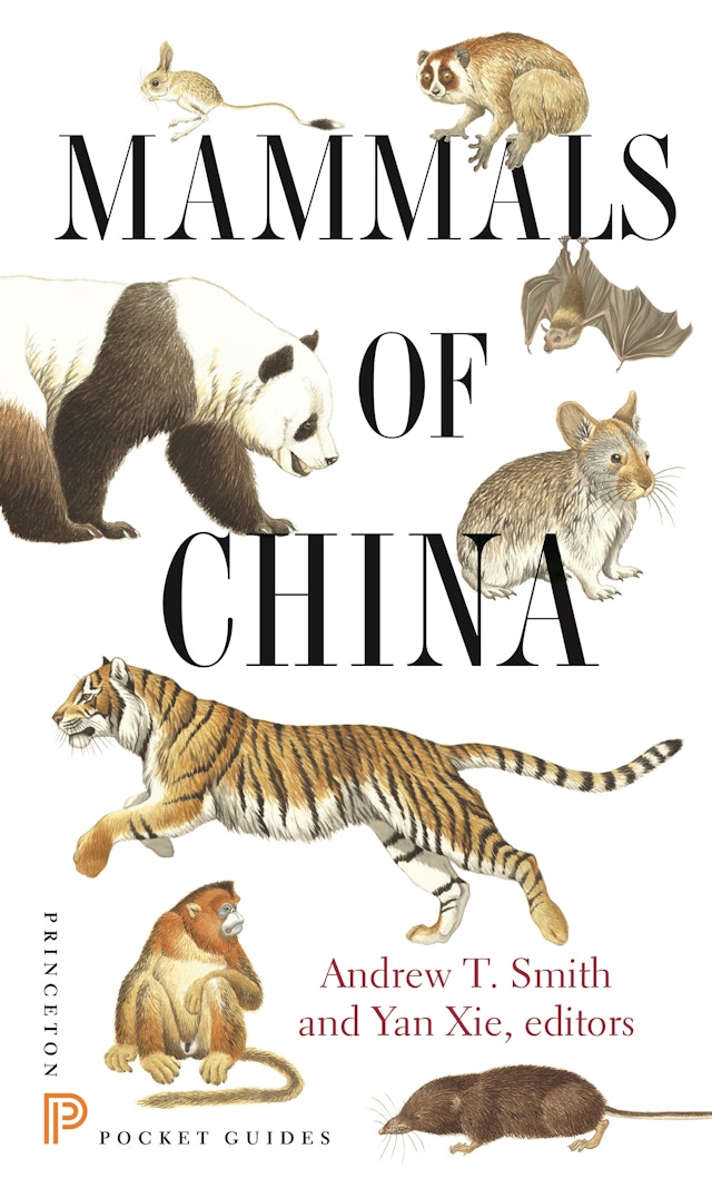 Mammals of China