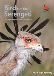 Birds of the Serengeti