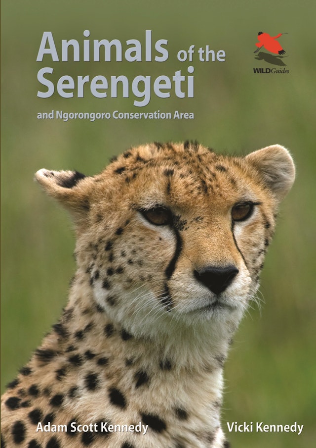 Animals of the Serengeti