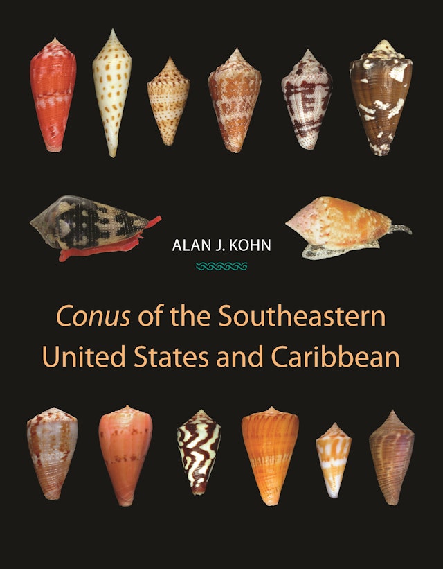 <i>Conus</i> of the Southeastern United States and Caribbean