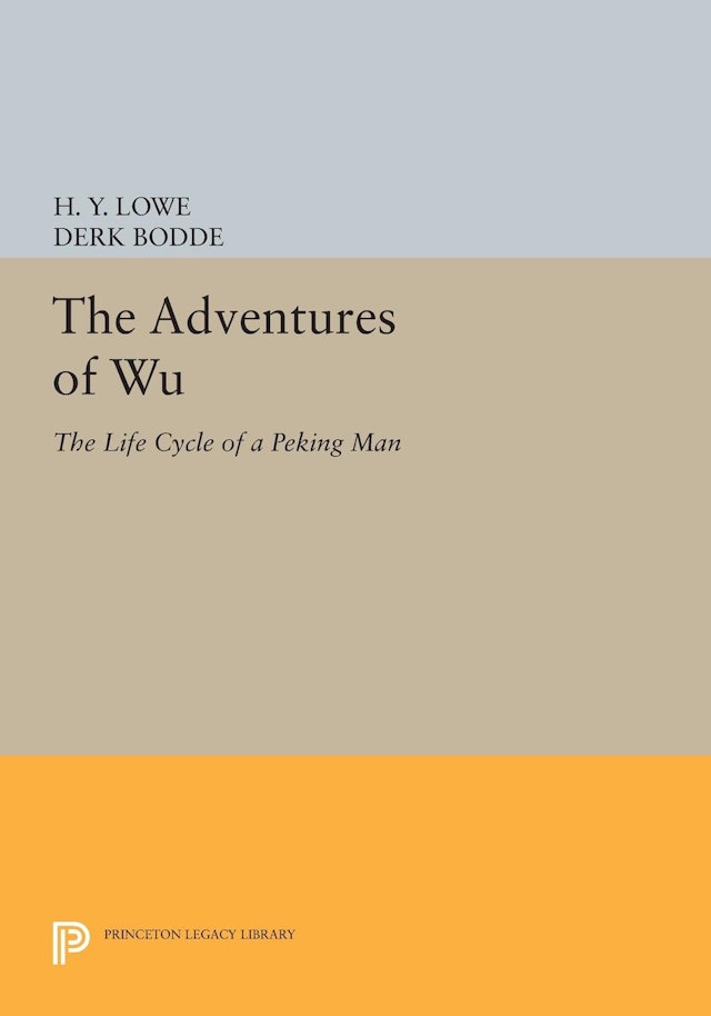 The Adventures of Wu