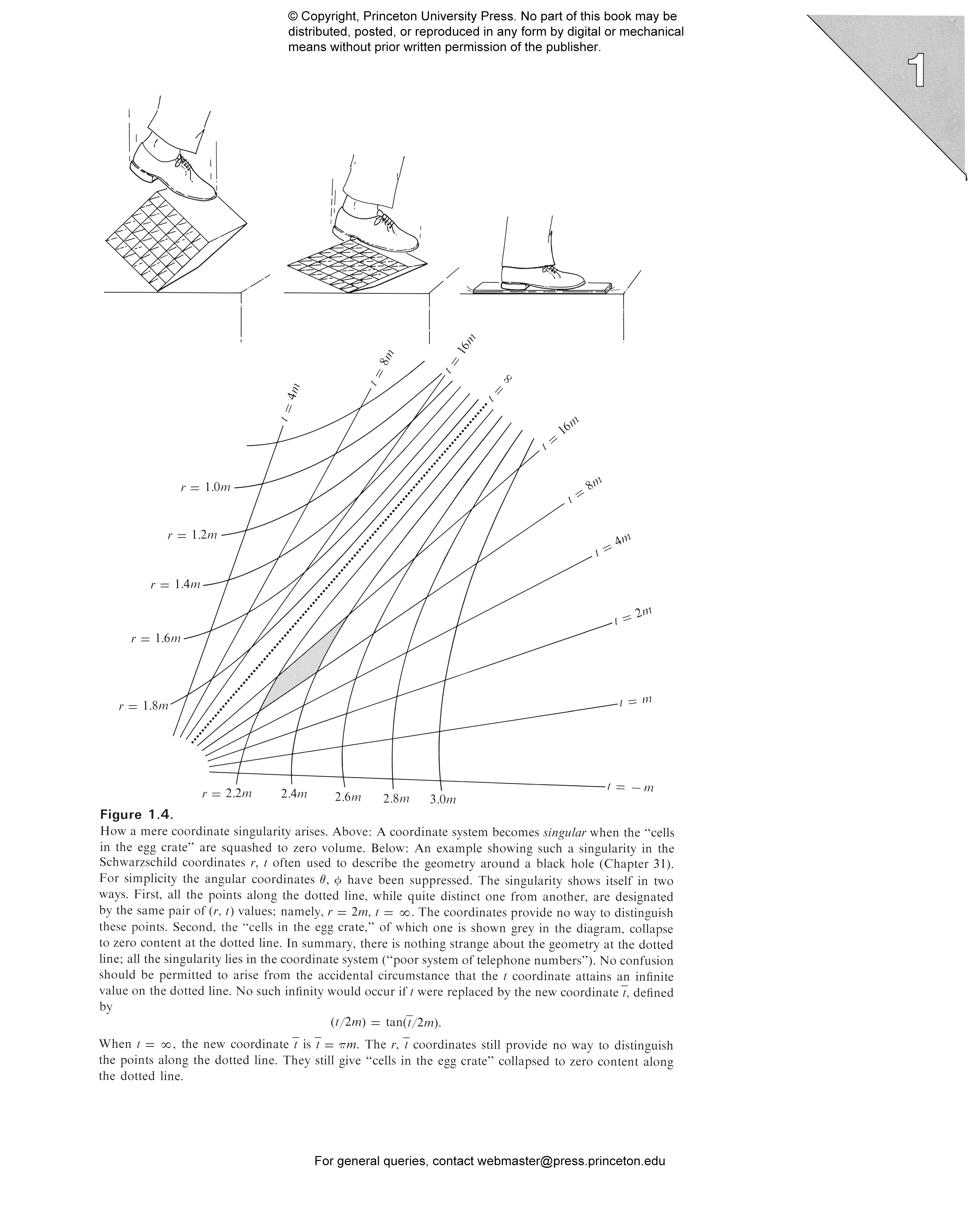 Gravitation | Princeton University Press