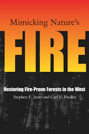 Mimicking Nature's Fire