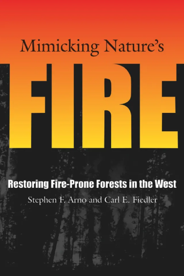 Mimicking Nature's Fire