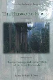 The Redwood Forest