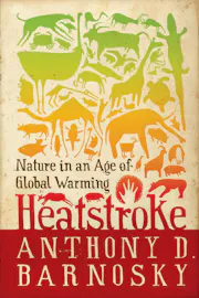Heatstroke
