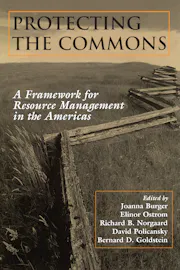 Protecting the Commons