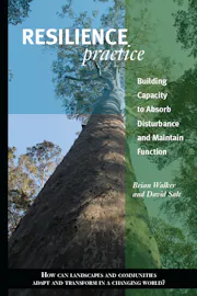 Resilience Practice