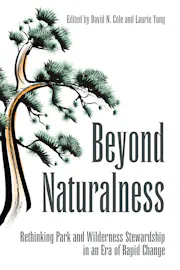 Beyond Naturalness