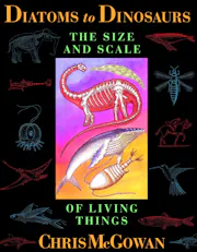 Diatoms to Dinosaurs