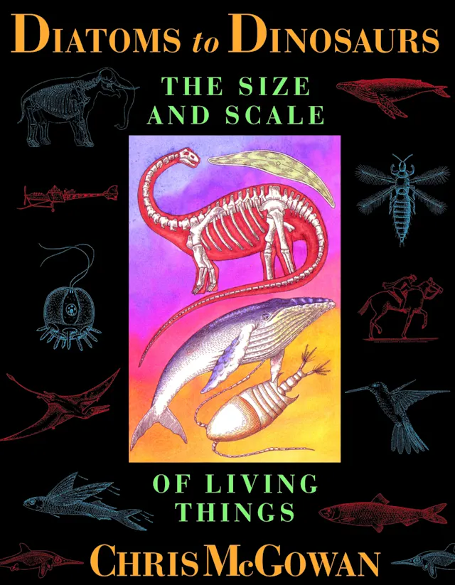 Diatoms to Dinosaurs