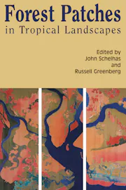 Forest Patches in Tropical Landscapes