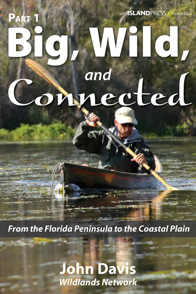 Big, Wild, and Connected