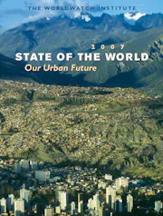 State of the World 2007