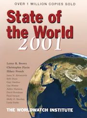 State of the World 2001