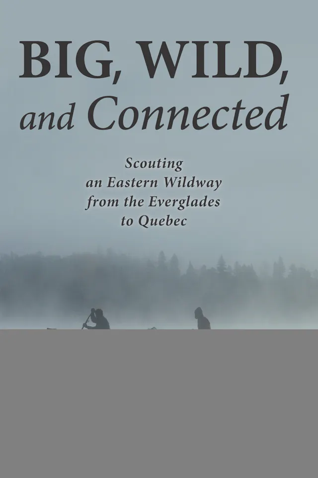 Big, Wild, and Connected