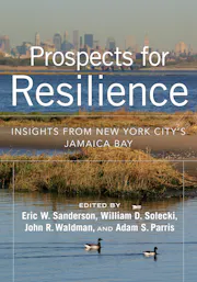 Prospects for Resilience