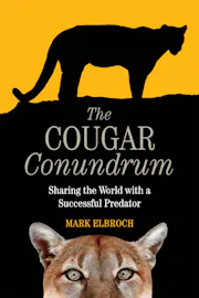 The Cougar Conundrum