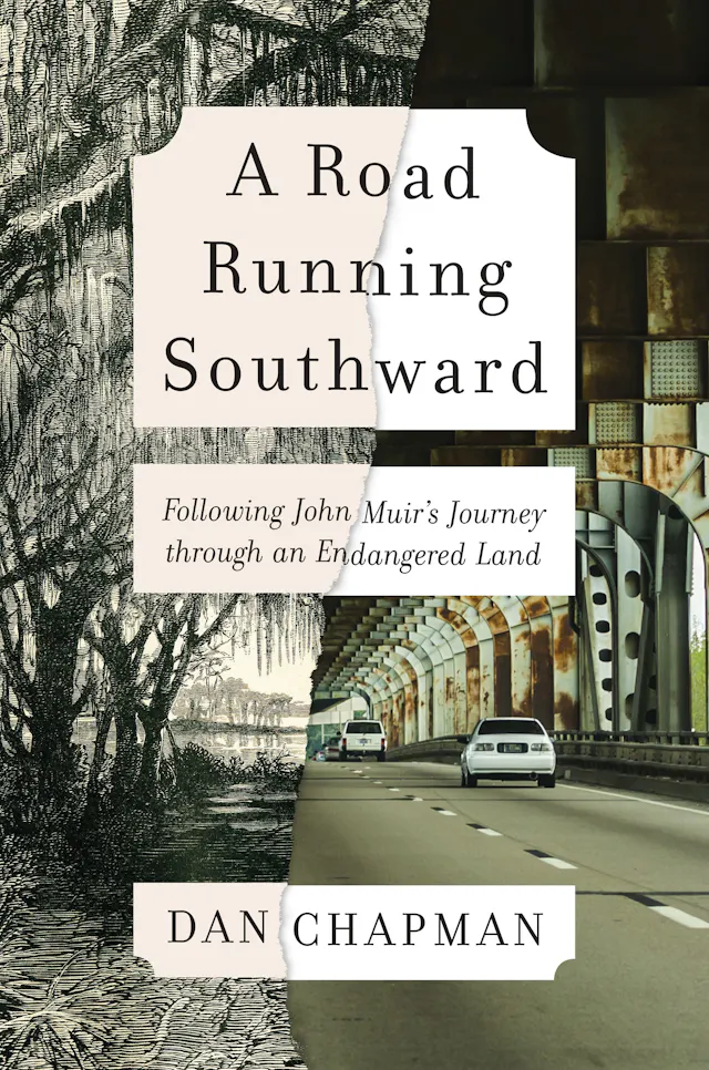 A Road Running Southward
