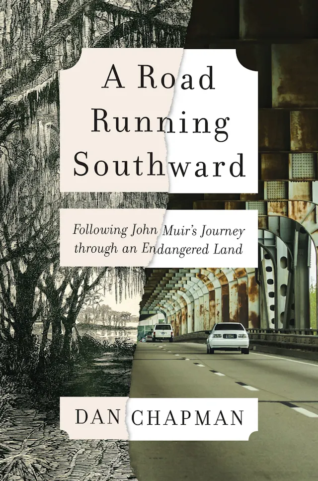 A Road Running Southward