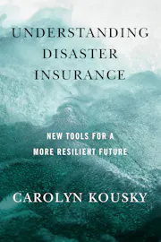 Understanding Disaster Insurance